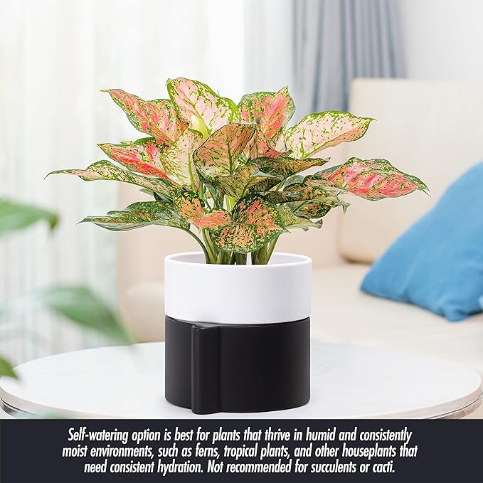 Phoenix Vine 6.5 Inch Self-Watering Planter Pot with Terracotta Insert, Deep Water Reservoir, and Ceramic-Alike BPA-Free Plastic Pot for Plant, Modern Planter for Houseplants, Black/White, 53-C-S-7
