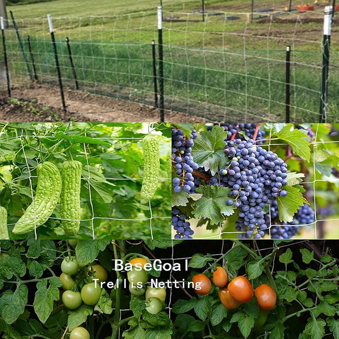 All-Weather Trellis Netting Mesh Plant Garden Vine Growing Flexible String Net