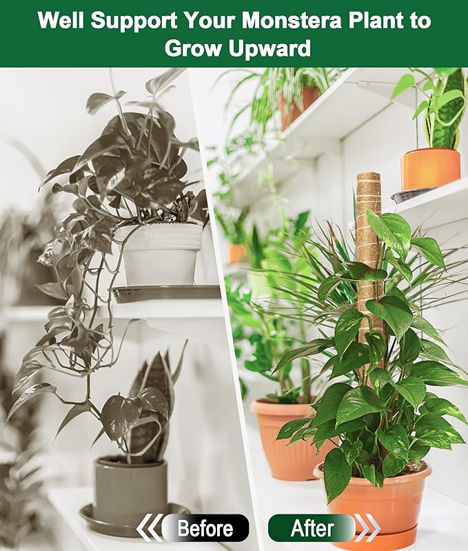 EAONE Moss Pole 126 Inch, 6 Pack 21" Monstera Plant Support for Climbing Potted Live Plants Indoor, Stackable Coco Coir Moss Sticks Monstera Stakes for Pothos Philodendron, with Garden Labels & Ties