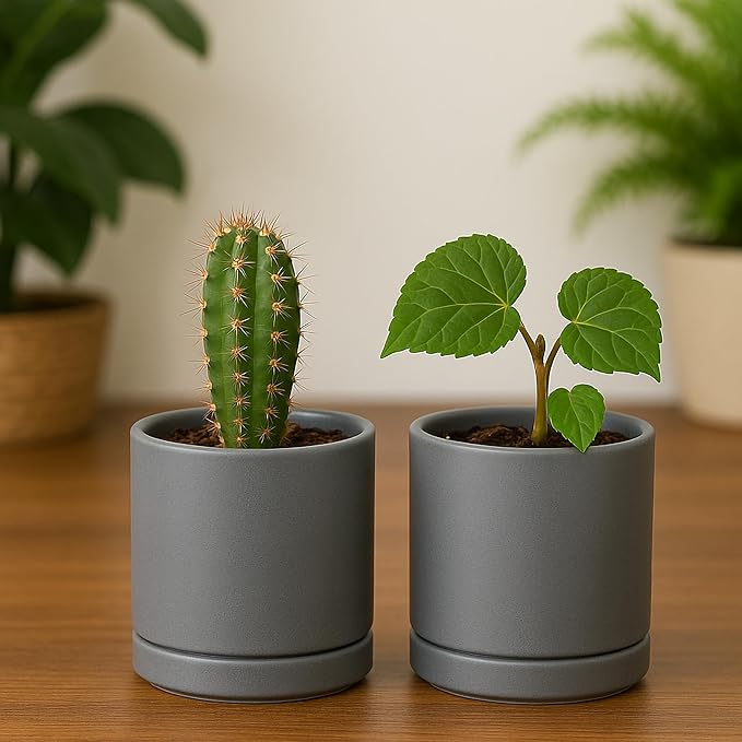 D'vine Dev Set of 2 Plants Pots, 3.5 Inch Ceramic Planter Pot for Plants with Drainage Hole and Saucer, Speckled Grey, 94-V-A-3