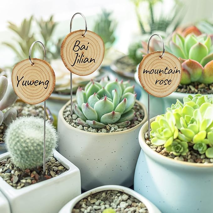 Temlum Wooden Plant Labels with Marker Pen, 50 Pcs Plant Markers Garden Label Stakes Plant Sign Tags for Flowers, Herbs, Potted Plants, Seed