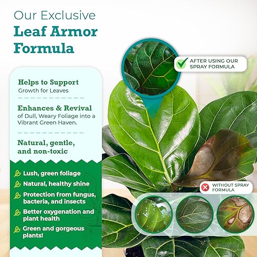 Leaf Armor Spray for Houseplants – Protects Against Fungal Leaf Spots, Bacteria, Pathogens & Yellowing | Gentle & Natural Phosphite Formula | Ready-to-Use | Made in USA – 8 oz