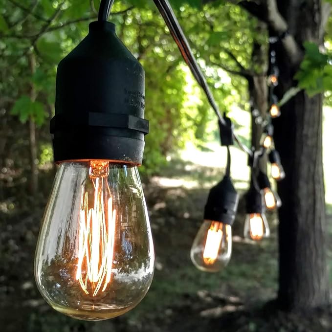 Hometown Evolution, Inc. 100 Foot E26 Commercial Outdoor Edison Bulb String Lights with Suspended Sockets (100 Foot 50 Socket, S14 Lantern Edison 11 Watt Bulbs)