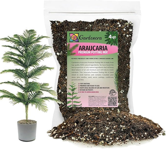 Premium Araucaria Potting Soil Mix - Perfect Balance of Nutrients, Drainage, and Aeration for Healthy Araucaria Trees - 4 Quart