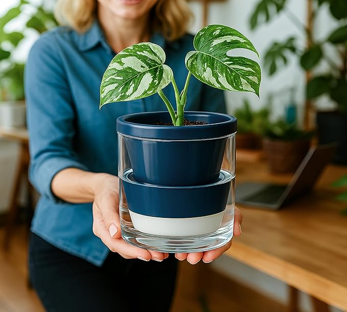 D'vine Dev 4 Inch Design Self Watering Planter for Indoor Plants, Blue Terracotta Pot with Cylinder Glass Cup, Set of 2, 37-Y-A-4