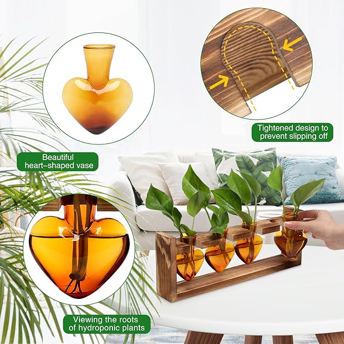 Plant Propagation Stations Heart Plant Terrarium Kit Gift for Women Plant Lover Glass Vases