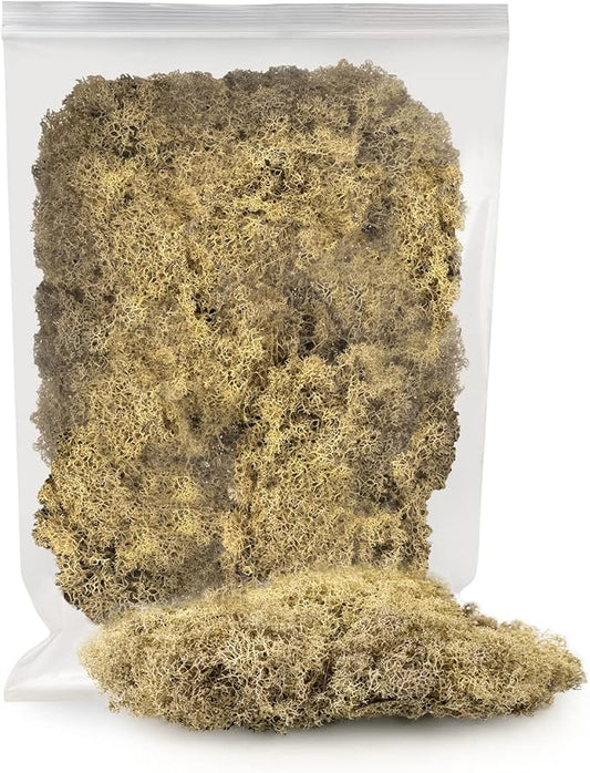 Premium Preserved Reindeer Moss for Potted Plants, Terrariums, Fairy Gardens, Arts and Crafts or Floral Decor Design in Natural (5 Quart Bag)