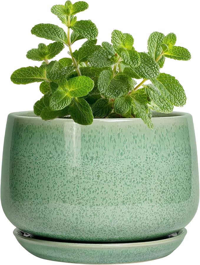 G EPGardening Ceramic Plant Pot - 4 inch Plant Pots with Drainage Hole & Saucer, Small Pots for Plant Indoor Outdoor, Modern Round Planter, Decorative Flower Pot, Room Decor, House Warming Gift, Green
