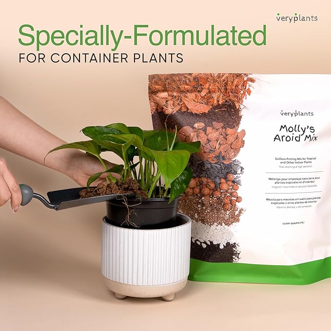 Molly's Aroid Mix - Premium Soilless Chunky Potting Mix for Tropical and Indoor Plants - Contains Orchiata Bark, Coco Chips, Worm Castings, Horticultural Charcoal, Mycorrhizae 5 Dry Quarts