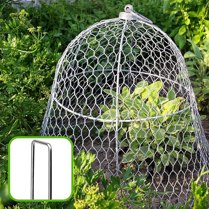 Cool Area 50PCS 6 Inches 11 Gauge Garden Stakes, Landscape Staples, Ground Stakes, Yard Stakes, U-Shaped Garden Staples for Securing Landscape Fabrics,Irrigation Pipes, Weed Barrier Fabric, Fences