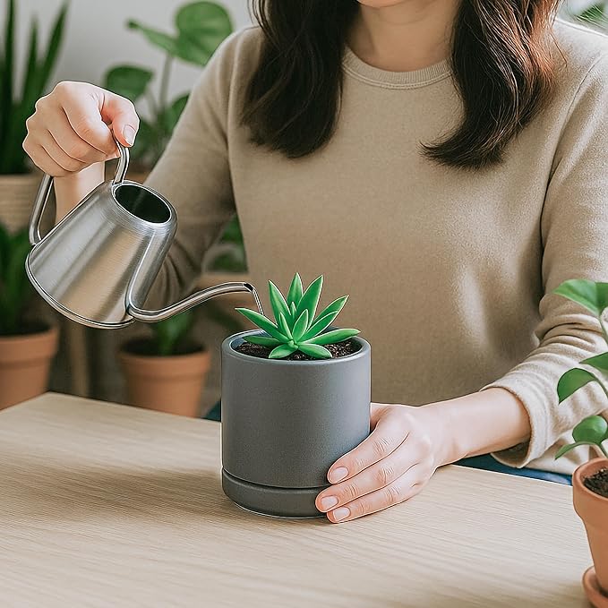 D'vine Dev Set of 2 Plants Pots, 3.5 Inch Ceramic Planter Pot for Plants with Drainage Hole and Saucer, Speckled Grey, 94-V-A-3