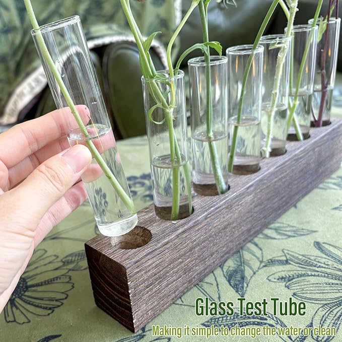 KAXYEW Desktop Glass Plant Propagation Station Test Tube Plant Terrarium in Wooden Stand for Hydroponic Plants Cutting Office Home Decoration