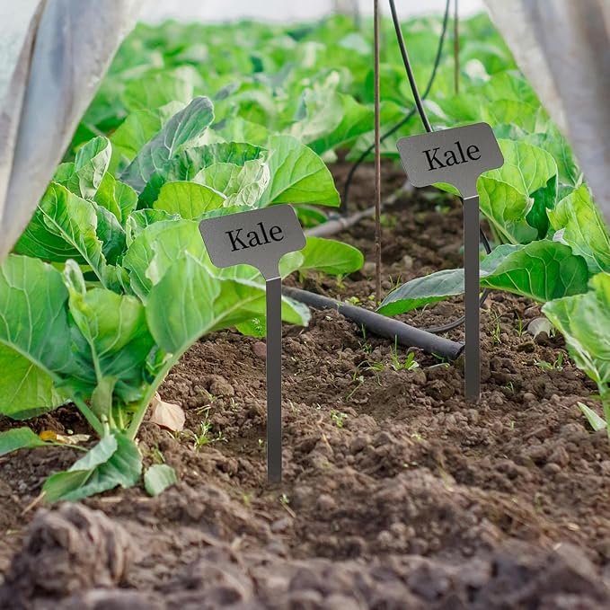 Stainless Steel Plant Labels,Metal Waterproof Plant Markers, Height 12.75 in, Label Area 2.5 in*1.25 in resuable Nursery Tags for Vegetables herb Flower Seed Green House 10-Pack