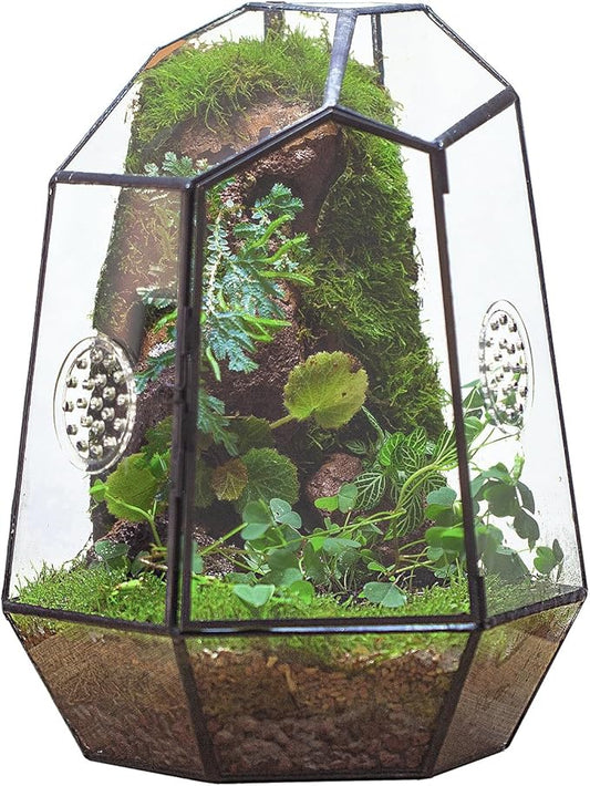 NCYP Closed Geometric Glass Enclosure with Front Opening Door & 2 Vent Holes for Insects, Succulent, Cacti - 7.9"x6.9"x9.8" Black Irregular Terrarium Planter - Home Garden Tabletop Decor (No Plants)