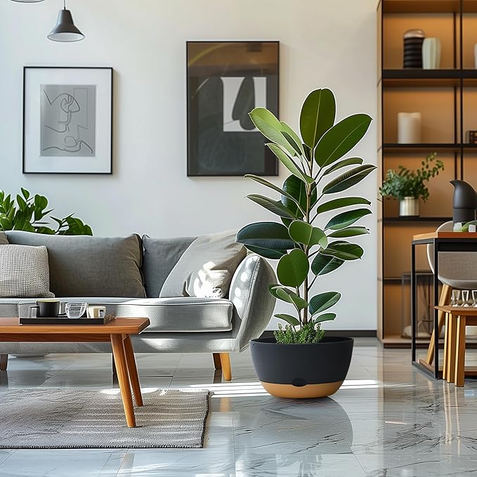 8/10/12 Inch Pots for Indoor Plants, Large Self Watering Planters with Drainage and Saucers, Plastic Outdoor Flower Pot, Set of 3, Grey