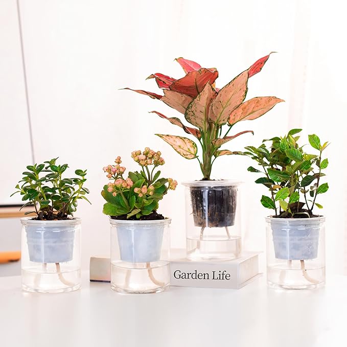 ORIMERC 200 feet 1/5 inch Self Watering Capillary Wick Cord Vacation Plant Sitter DIY Hydroponic Wicking Rope Seeds Start Planter Pot Automatic Potted Flower Passive Lazy Waterer String System Device