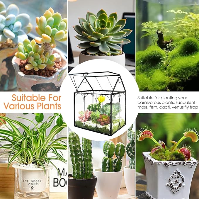 Plant Terrarium Jar, Rifny Indoor House Shape Glass Terrarium Planter with Lid for Venus Fly Trap Succulent Live Air Plants, Small Terrarium Decor for Home Office (Without Plants)