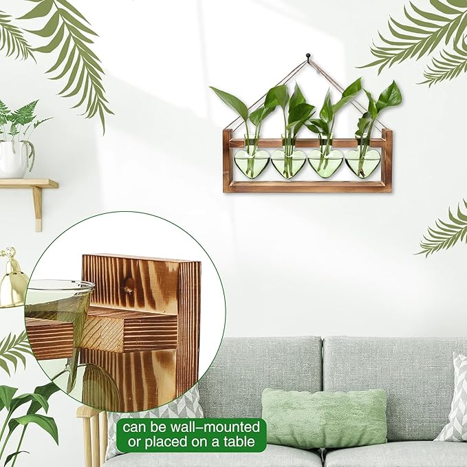 Plant Propagation Stations Heart Plant Terrarium Kit Gift for Women Plant Lover Glass Vases