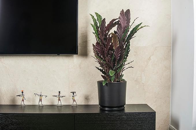 Ekirlin 9 inch Plant Pots,Ceramic Flower Planters Indoor,Modern Succulents Containers with Drain Hole Saucer,Decorate Home,Office & Outdoor (Black)