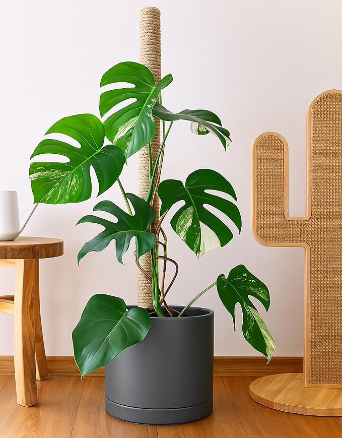 D'vine Dev 14 Inch Ceramic Planter Pot with Drainage Hole and Saucer, Indoor Cylinder Round Planter Pot, Speckled Grey, 94-O-G-3