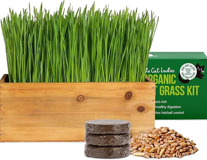 The Cat Ladies Cat Grass Kit (Organic) with Rustic Wood Planter, Seed and Soil. Easy to Grow for Indoor or Outdoor Cats, Dogs and Other Pets. Prevent Hairballs and Aid Digestion