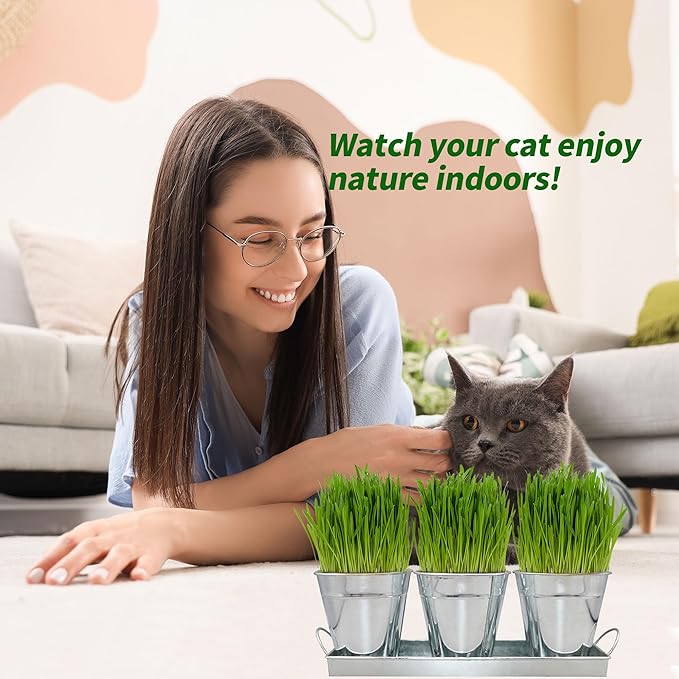 The Environet Organic Cat Grass for Indoor Cats, Organic Cat Grass Kit with Seeds Mix and Metal Iron Pots, Hairball Control, Digestion Support, Ideal Gift for Cat Lovers