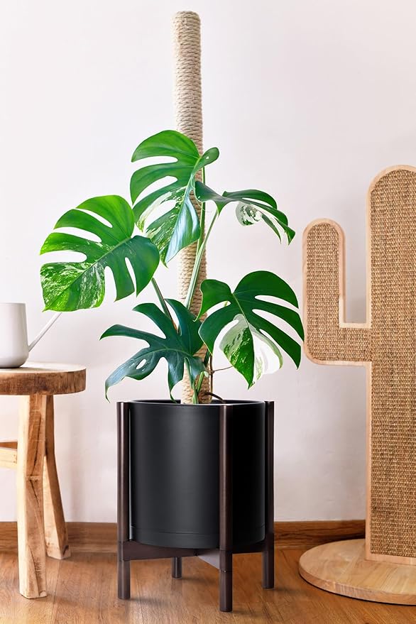 D'vine Dev Planter Pot with Stand - 12 Inch Plastic Cylinder Flower Pot with Wood Planter Holder for Indoor, Matte Black Pot + Walnut Color Stand, 55-C-O-2