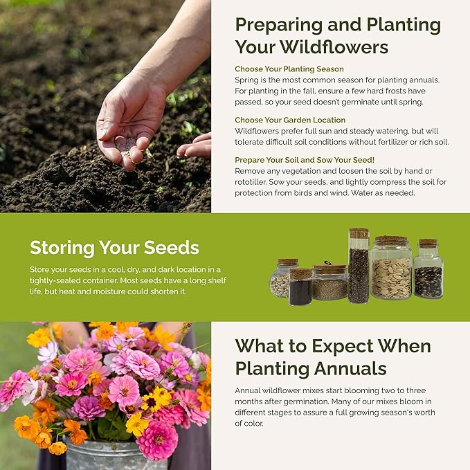 Eden Brothers Orange Sherbet Flower Mixed Seeds for Planting, 5 lb, 2,400,000+ Seeds with Cosmos Picotee, Bright Lights | Attracts Pollinators, Plant in Spring or Fall, Zones 3, 4, 5, 6, 7, 8, 9, 10