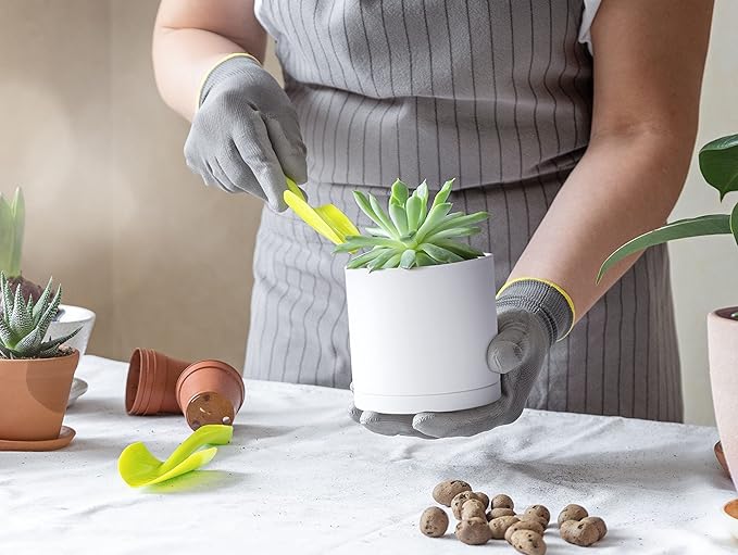 D'vine Dev 6 Pack 4 Inch Modern Plastic Plant Pots, Small Garden Planters for Plant with Drainage Holes and Saucers, White Color, 74-Z-E-3