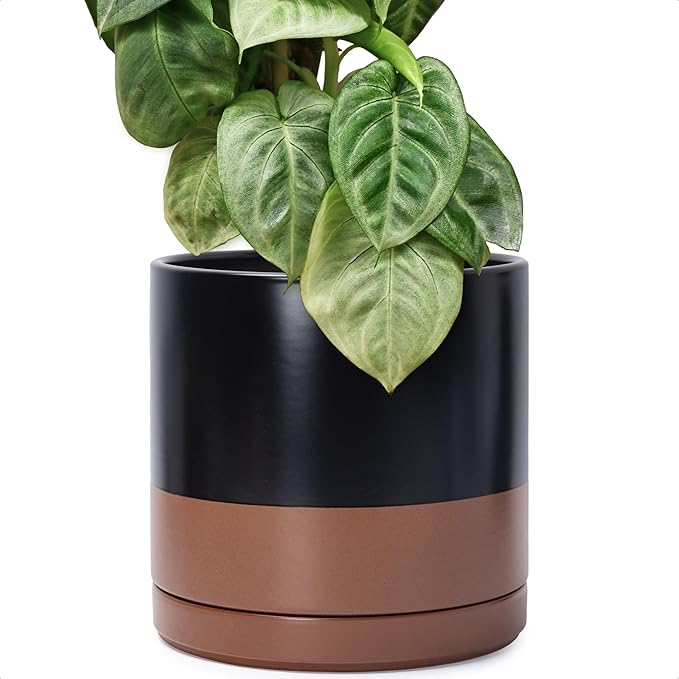 D'vine Dev 12 Inch Ceramic Planter Pot with Drainage Hole and Saucer, Indoor Cylinder Round Planter Pot, Black/Speckled Tan, 94-O-F-7