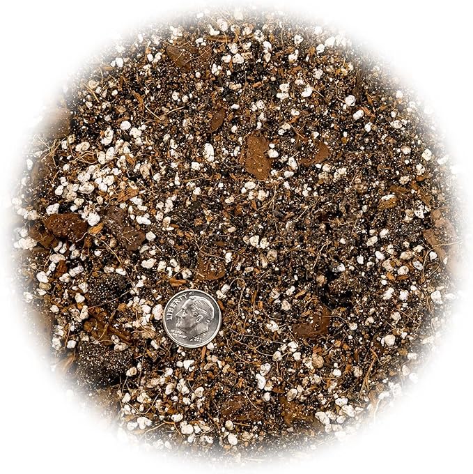 Fiddle Leaf Fig Soil Mix - 20 Quart - Premium Blend of Peat Moss, New Zealand Bark, Coco Chips, and Perlite for All Purpose Planting - 4 Bags of 5 Quart