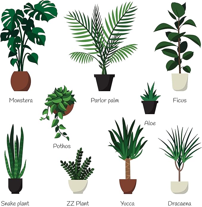 Indoor Plant Food | All-purpose House Plant Fertilizer | Liquid Common Houseplant Fertilizers for Potted Planting Soil | by Aquatic Arts