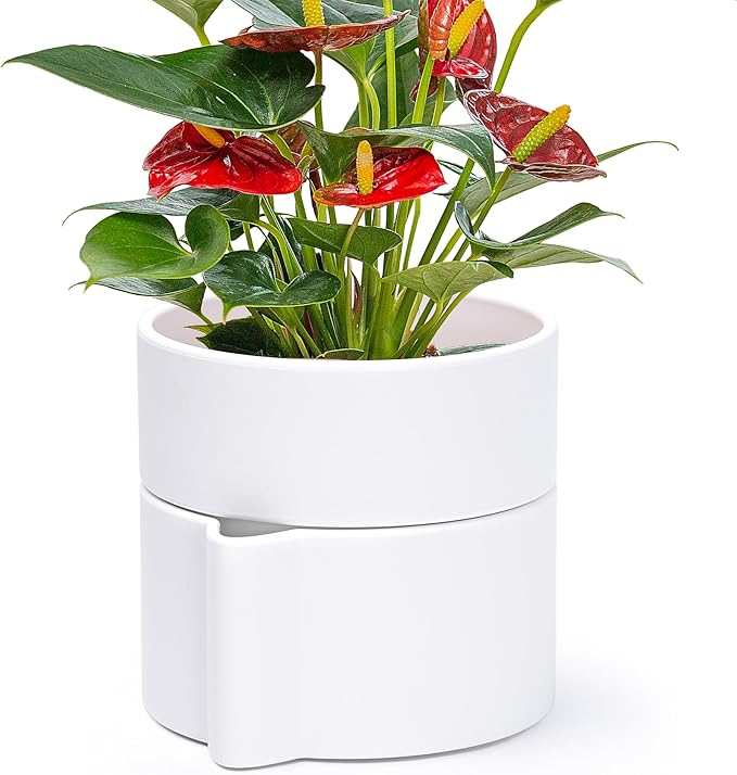 Phoenix Vine 6.5 Inch Self-Watering Planter Pot with Terracotta Insert, Deep Water Reservoir, and Ceramic-Alike BPA-Free Plastic Pot for Plant, Modern Planter for Houseplants, White, 53-A-S-1