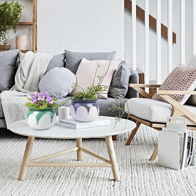 African Violet Pots, 6 inch Ceramic Easy Self Watering Plant Pot for Busy Plant Lovers, Automatically Absorb Appropriate Amount of Water, Flower Pot Indoor-Plants Not Included(Red)