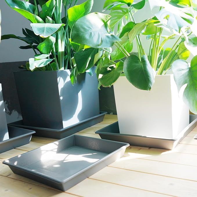 Square Plant Saucer 20 Inch 2 Pack, Large Plant Trays for Pots Heavy Duty Gray Plastic Plant Saucers for Indoors Outdoors, Flower Pot No Holes Plant Lover Gardening Gifts
