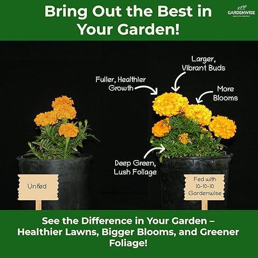 10-10-10 Plant Fertilizer Slow Release - 10 10 10 All Purpose Granular Garden Fertilizer for Vegetables, Tomato, Arborvitae, Shrubs, Rose, Flowers, Fruit, Fig Trees (1/2 Quart)