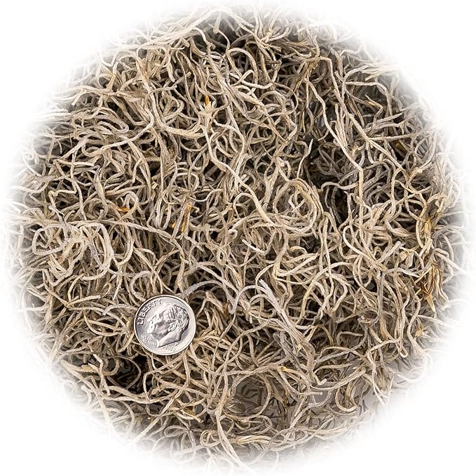 Premium Natural Spanish Moss | Natural Preserved - 20 Quart - Great Ground Cover - Filler for Potted Plants (4 Bags of 5 Quart)