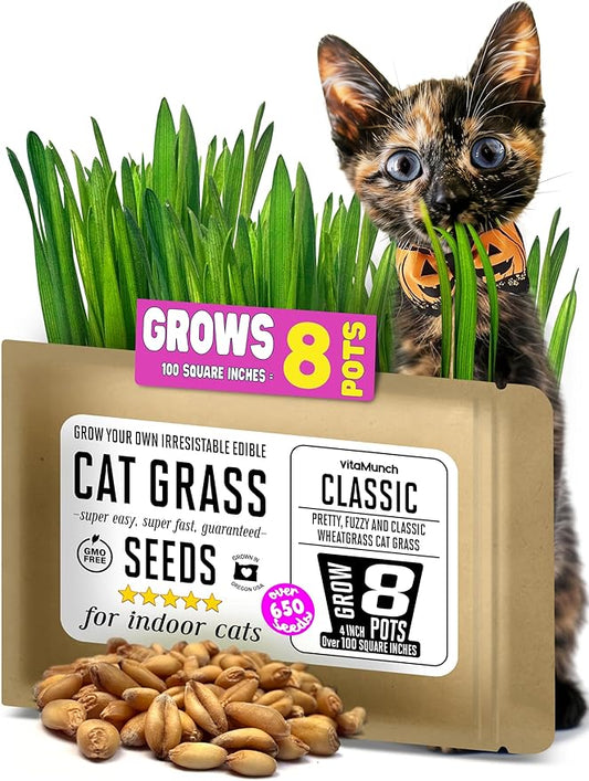 Cat Grass Seeds – Soft, Tasty Wheatgrass – Grows 8 Pots of Fresh Cat Grass for Indoor Cats & Kittens – Easy & Fast to Grow – Small Pack Grows 100 Square inches of Edible cat Grass Vitamunch