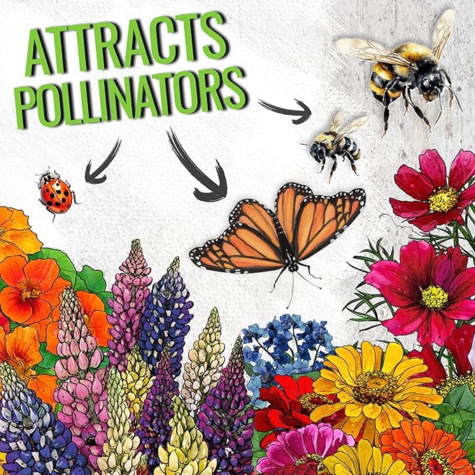 Seed Needs Wildflower Seeds Hummingbird and Butterfly Seed Mix | 2 Packs (1 Ounce Each) No Filler 23 Varieties Garden Seeds Annual & Perennial Species | Pollinator Attracting Flower Seed | Bulk