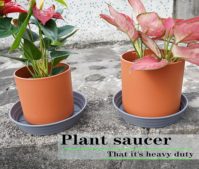 Plant Saucer 6 Inch 4 Pack 6 8 10 12 14 16 18 20 25, Plastic Plant Trays for Pots，Extra-Deep Plant Water Dray Tray, Bird Bath Bowl, Heavy Flower Plant saucers Indoors and Outdoor No Holes 6in-4 grey