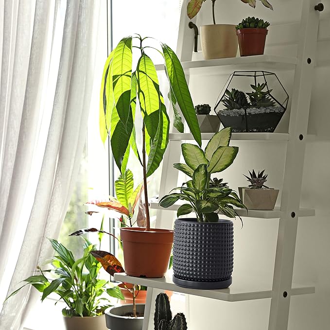 D'vine Dev 6 Inch 4 Inch Ceramic Indoor Planter Pots with Drainage Hole and Saucer, Beaded Design Flower Pots, Set of 2, Matte Black, 27-D-U-6