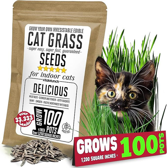 Cat Grass Seeds – Smooth Tasty Ryegrass – Grows 100 Pots of Fresh Cat Grass for Indoor Cats & Kittens – Easy & Fast – Bulk Rescuer's Pack Grows 1,250 Square inches of Edible cat Grass Vitamunch