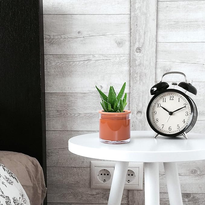 Phoenix Vine 4 Inch Self Watering Plants Pot, Design Terracotta Pot for Plants, Indoor Cylinder Terra Cotta Planter with Glass Vase, Set of 1, 51-A-E-1