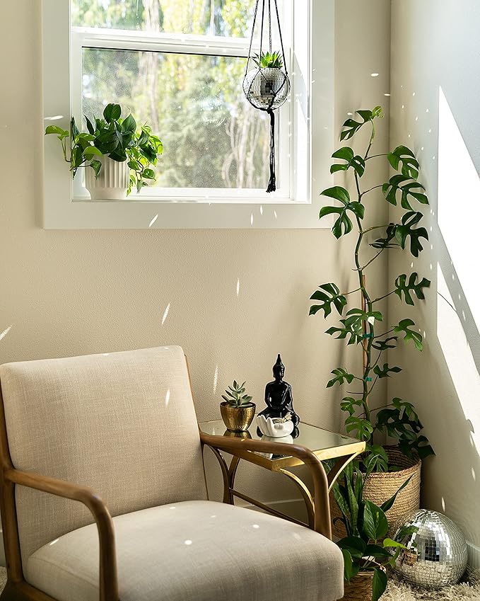 Hanging Disco Ball Planter 8" - with Acrylic Stand and Macrame Plant Hanger - Home Décor, Room Décor, Mirror Disco Planter, Disco Decor (6" with Black Hanger, Flat Base)