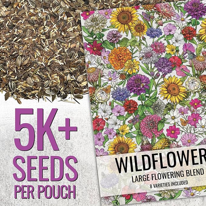 Seed Needs Garden Flower Seeds Large Blooms Mix Hummingbird and Butterfly | 2 Packs (1 Ounce Each) No Filler 7 Varieties Open Pollinated | Resealable Package Live Wild Flower Seed | Bulk