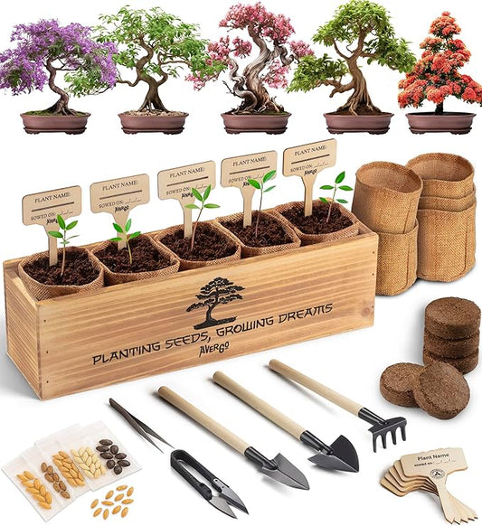 Bonsai Tree Kit for Beginners – 5X Unique Japanese Bonzai Trees | Complete Indoor Starter Kit for Growing Bonsai Plants with Tools & Planters – Gardening Gifts for Women & Men