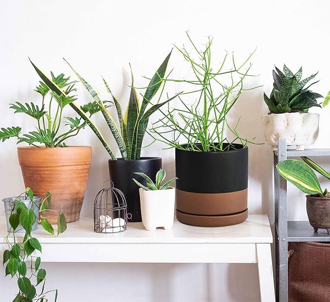 D'vine Dev 6 Inch & 8 Inch Ceramic Planter Pots for Plants with Drainage Hole and Saucer, Medium Plant Pots Set, Black/Speckled Tan, 94-G-M-7