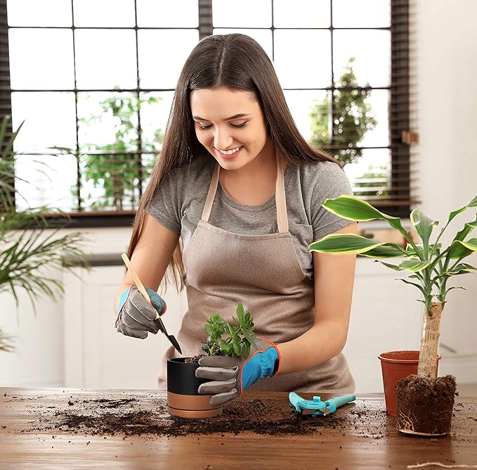 D'vine Dev Set of 4 Small Ceramic Plant Pots, 4.6 Inch Succulent Planter Pot for Plants with Drainage Hole and Saucer, Black/Speckled Tan, 94-X-B-7