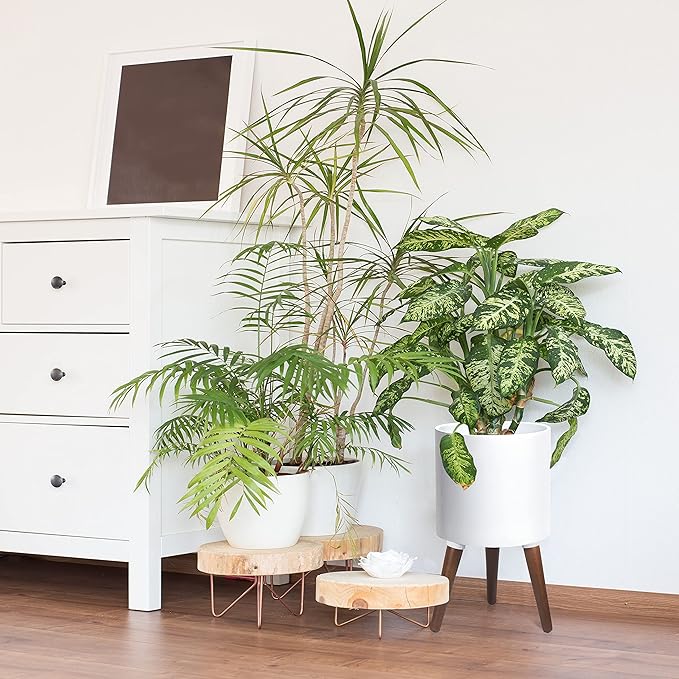 D'vine Dev 10 Inch Planter Pot with Stand, Mid-Century Tall Plant Pot with Legs for Indoor Plants, Medium, White, 88-O-B-1