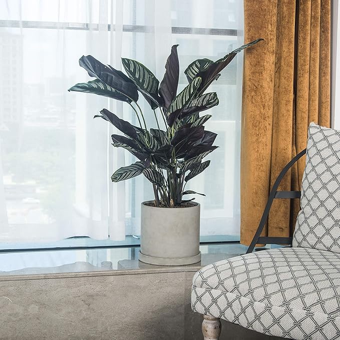 Ekirlin 9 Inch Flower Plant Pot Indoor - Grey Cement Garden Planter Concrete Planter with Drain Hole Saucer, Modern Succulents Containers for Home Decor, Office & Outdoor